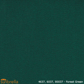 4637_forest_green